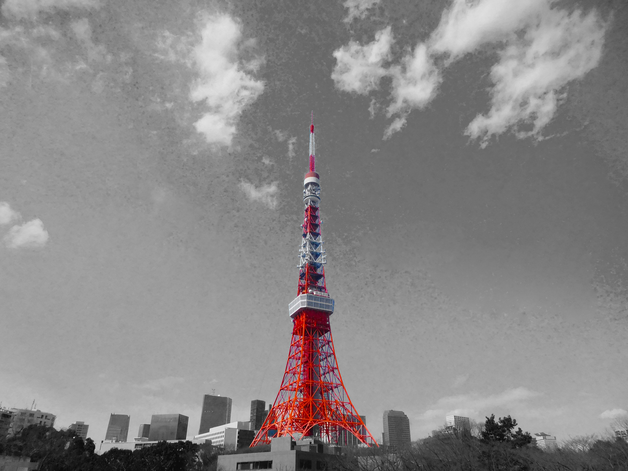 company メイン画像